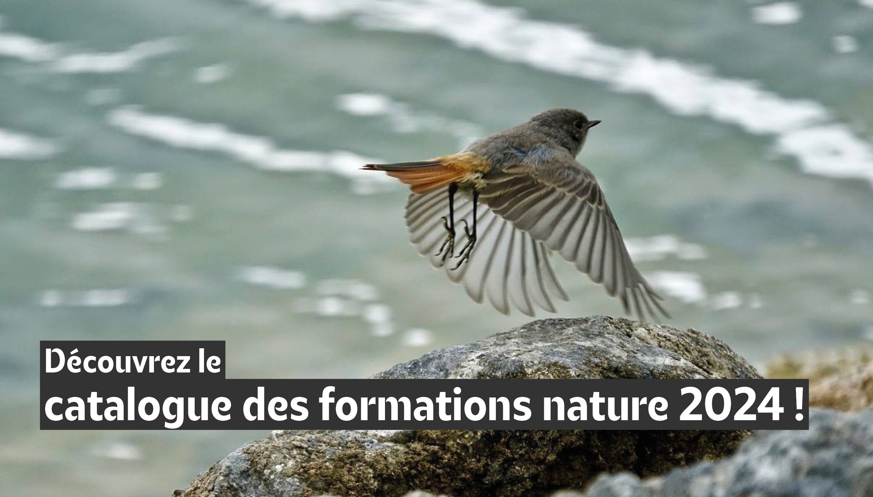 Découvrez vos formations nature !